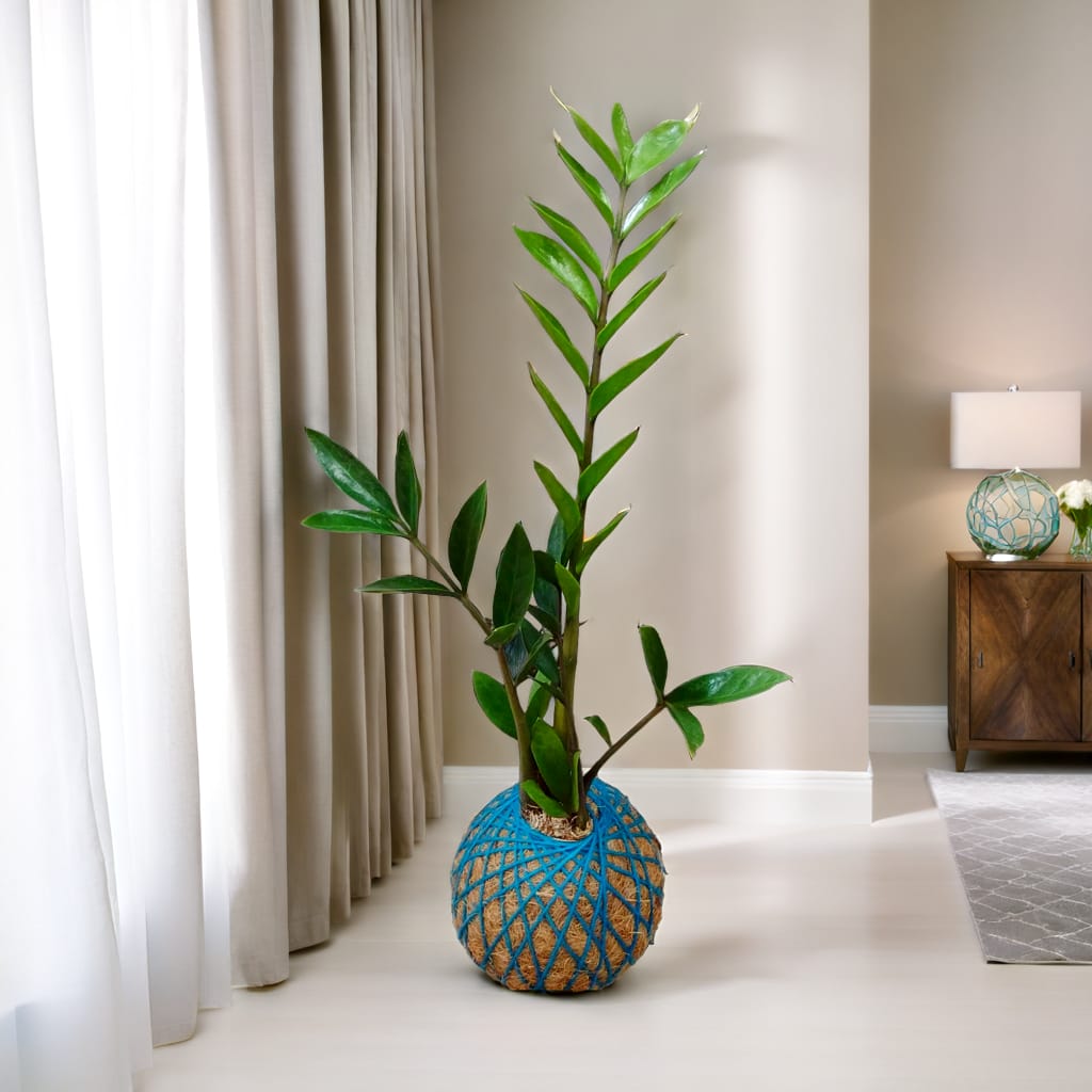 Imagem do WhatsApp de 2024-07-14 à(s) 21.59.44_069c8e48.jpg