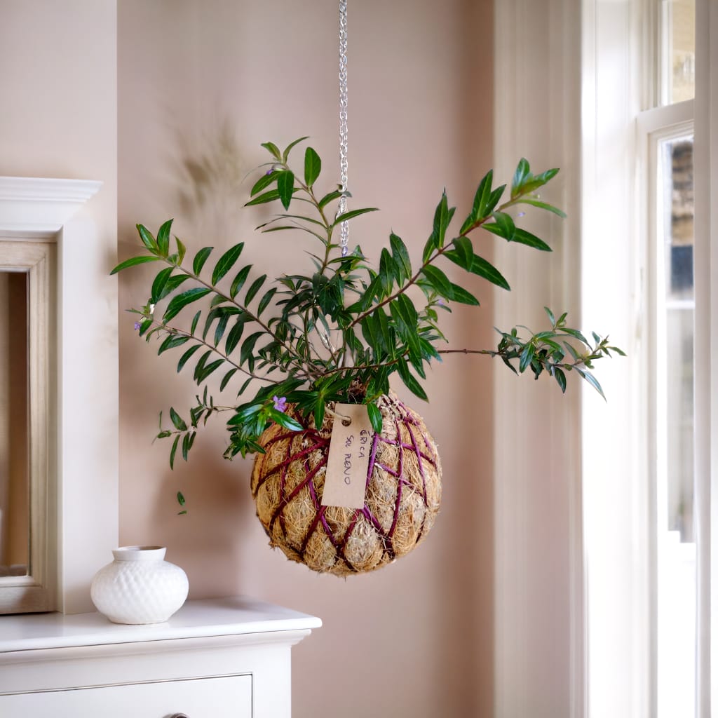 Imagem do WhatsApp de 2024-07-26 à(s) 12.44.23_0fb2e8a0.jpg