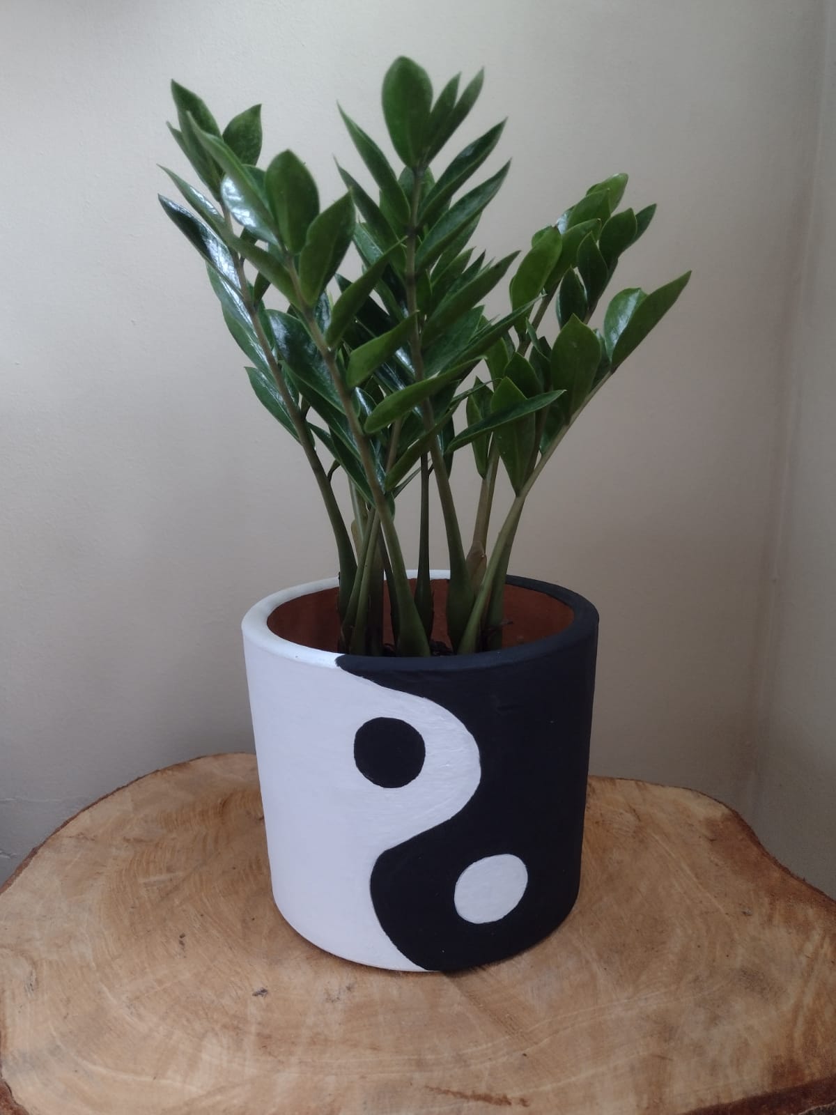 Imagem do WhatsApp de 2024-08-20 à(s) 19.05.28_fcae1dcf.jpg