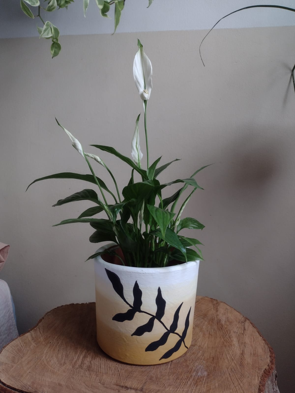 Imagem do WhatsApp de 2024-08-20 à(s) 19.05.28_2ef10325.jpg