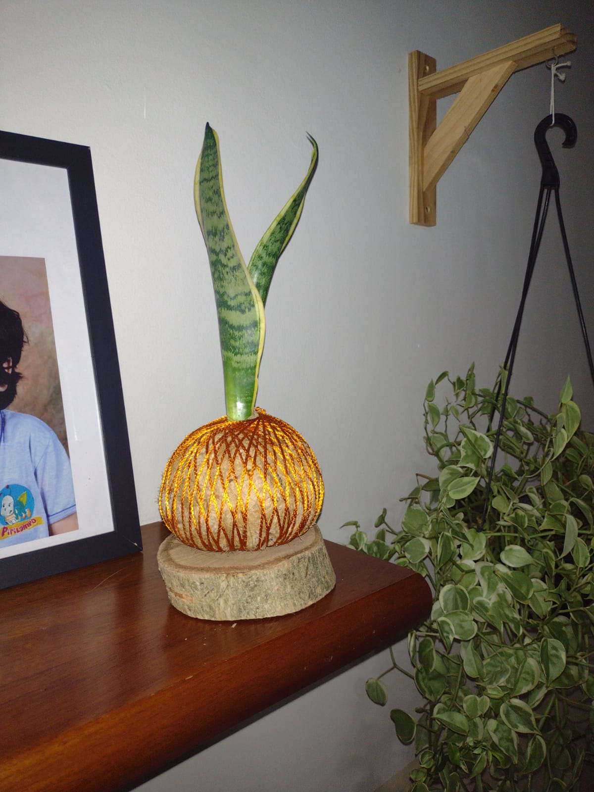 Imagem do WhatsApp de 2024-08-06 à(s) 10.50.13_ae9b0f93.jpg