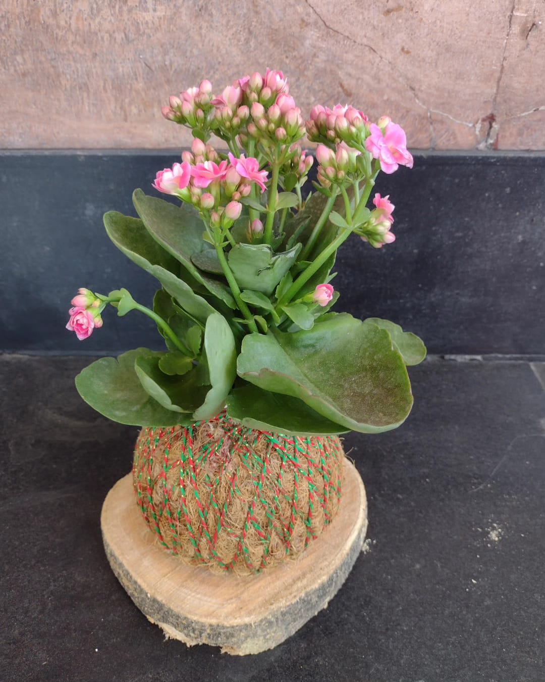 Imagem do WhatsApp de 2024-08-06 à(s) 10.50.13_520659a1.jpg