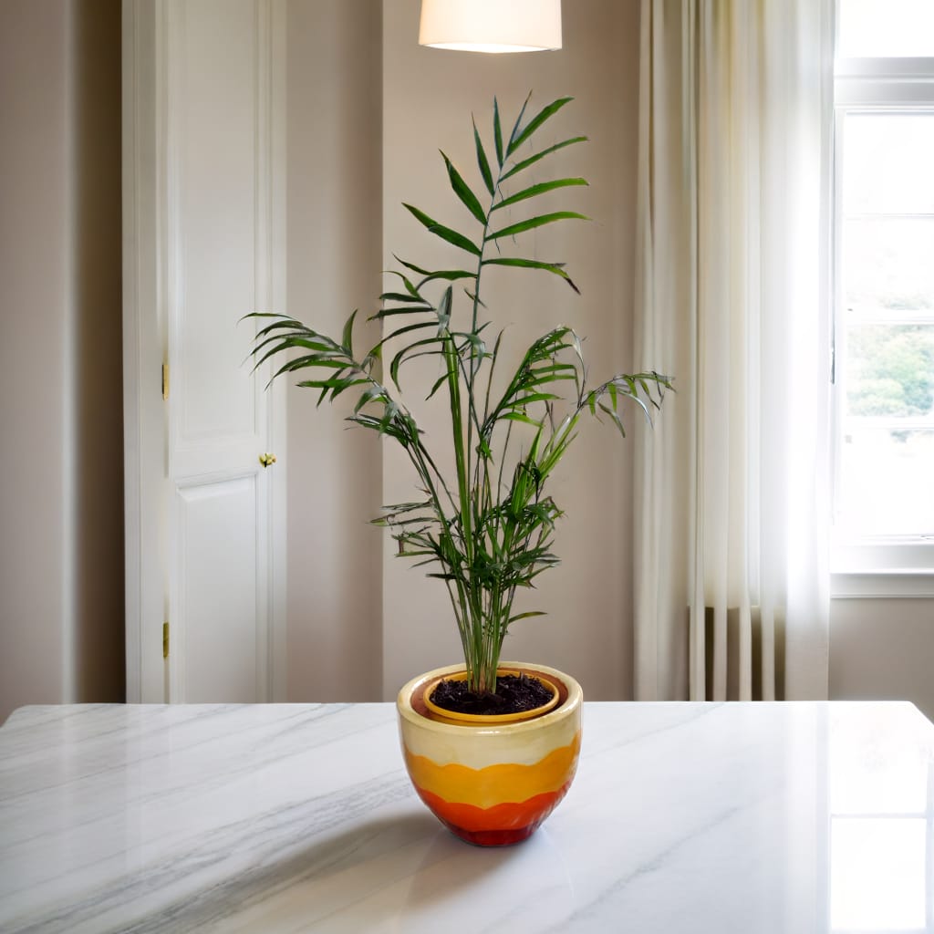 Vasos ornamentados - Via Verde 240