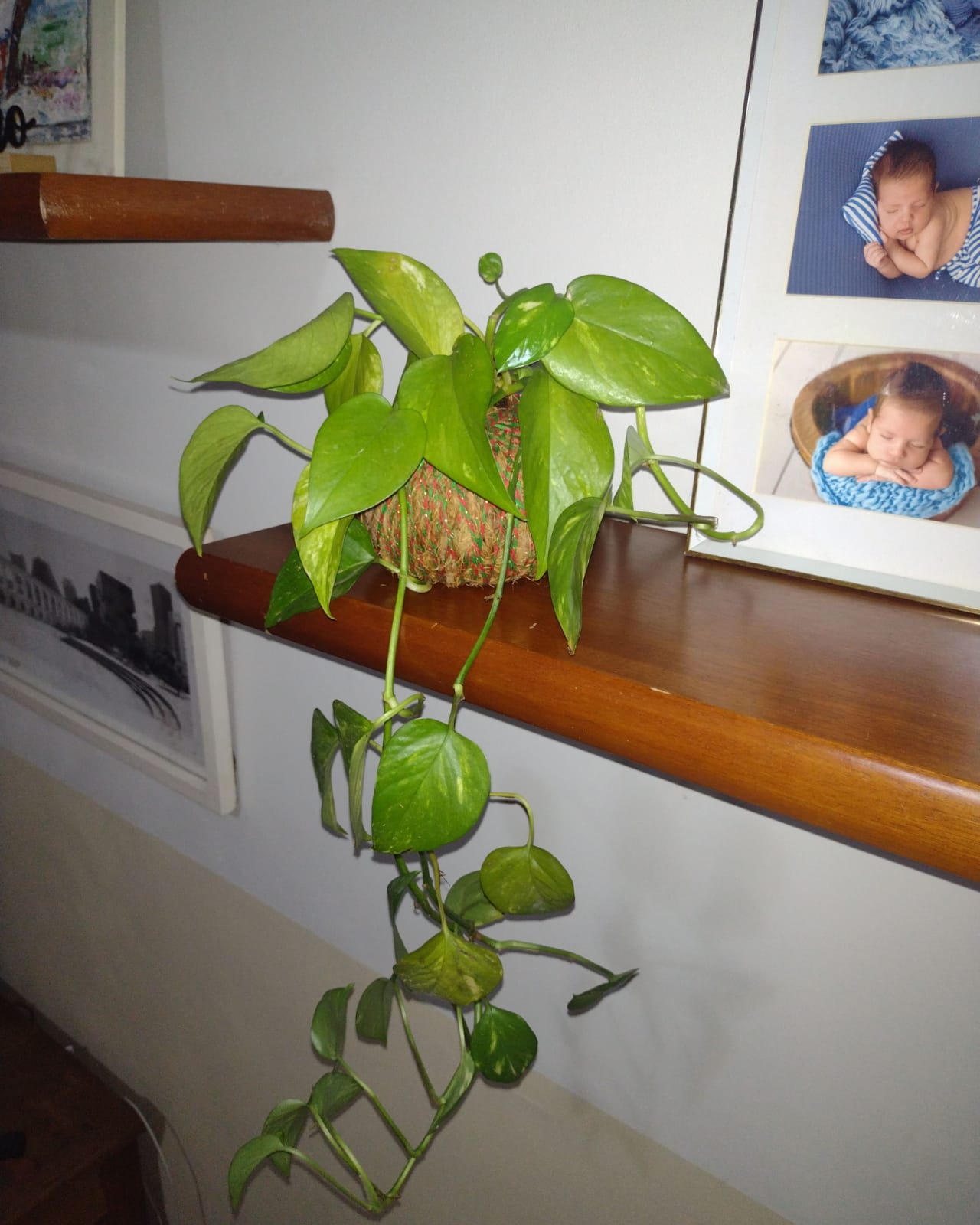 Imagem do WhatsApp de 2024-08-06 à(s) 10.50.13_eb2f3df6.jpg