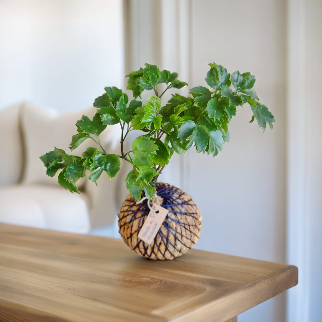 Imagem do WhatsApp de 2024-07-26 à(s) 12.44.25_6561e9be.jpg