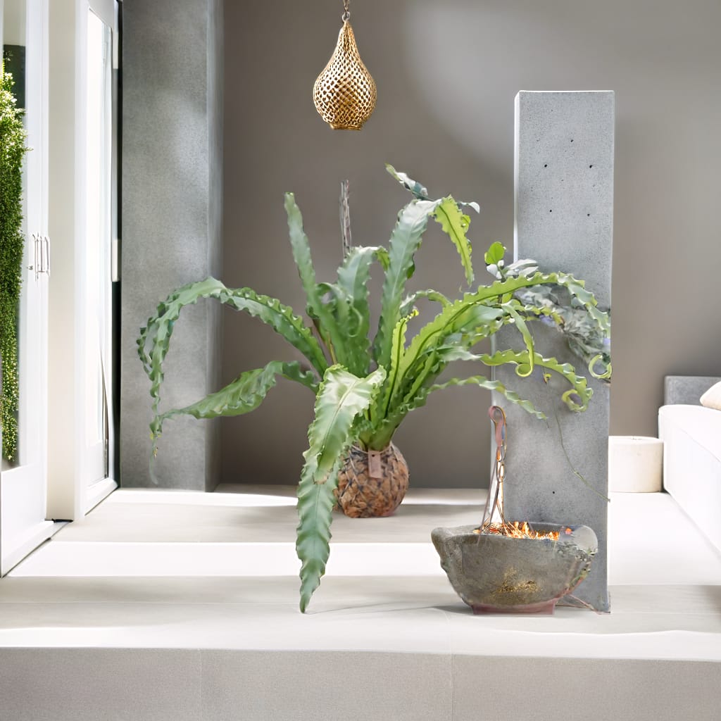 Imagem do WhatsApp de 2024-07-21 à(s) 16.28.23_9da93433.jpg