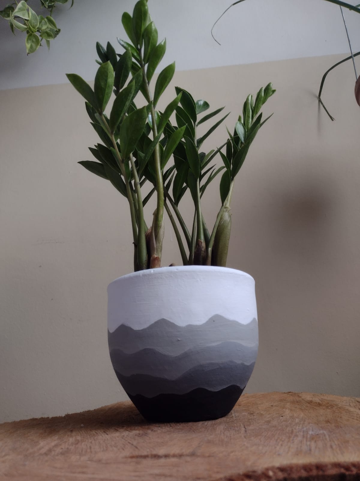 Imagem do WhatsApp de 2024-08-20 à(s) 19.05.27_096889a1.jpg