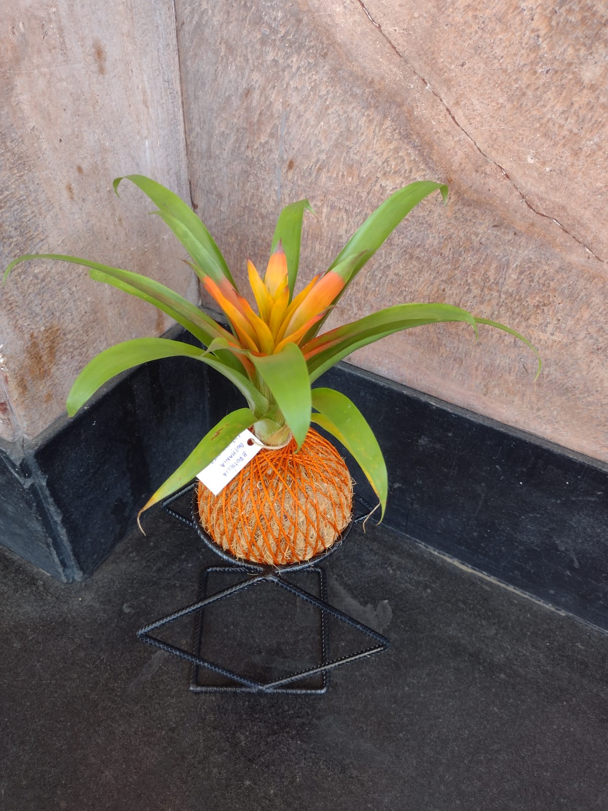 Imagem do WhatsApp de 2024-08-05 à(s) 10.38.05_05efa5af.jpg