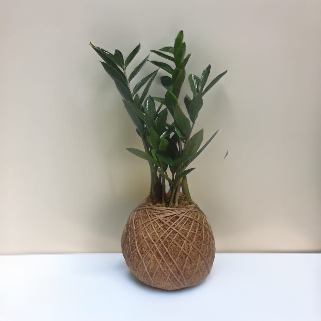 Imagem do WhatsApp de 2024-07-21 à(s) 16.28.23_36bbf840.jpg