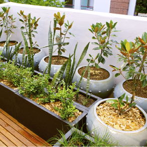 Jardinagem